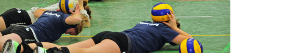 Blau-Gelb Marburg Volleyball: Trainingszeiten und Orte - Überblick